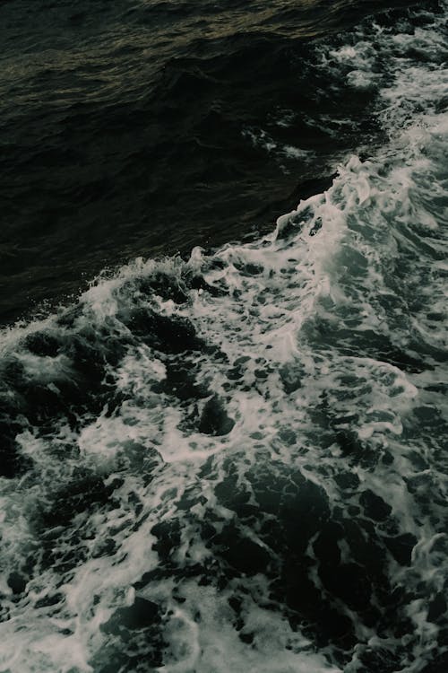 Základová fotografie zdarma na téma detail, mávání, moře