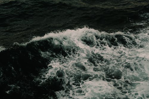 dalgalar, deniz, sıçrayan su içeren Ücretsiz stok fotoğraf