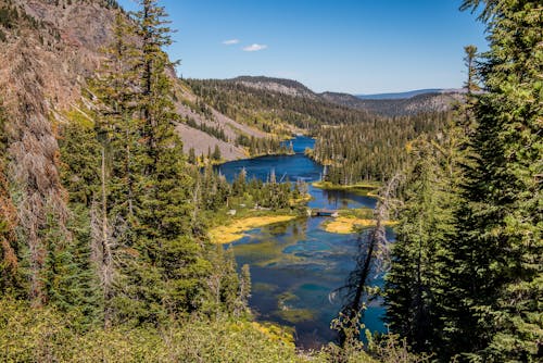 Scenic View of a Lake Between Pine Tress and Mountains