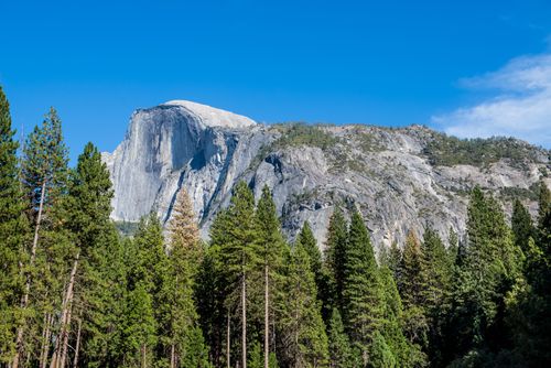 Free Breathtaking view of Half Dome and surrounding evergreen trees in Yosemite National Park. Stock Photo