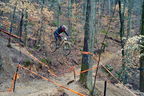 Man Riding a Mountain Bike in the Forest 