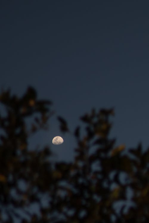 Bezpłatne Darmowe zdjęcie z galerii z ciemny, dobranoc, księżyc Zdjęcie z galerii
