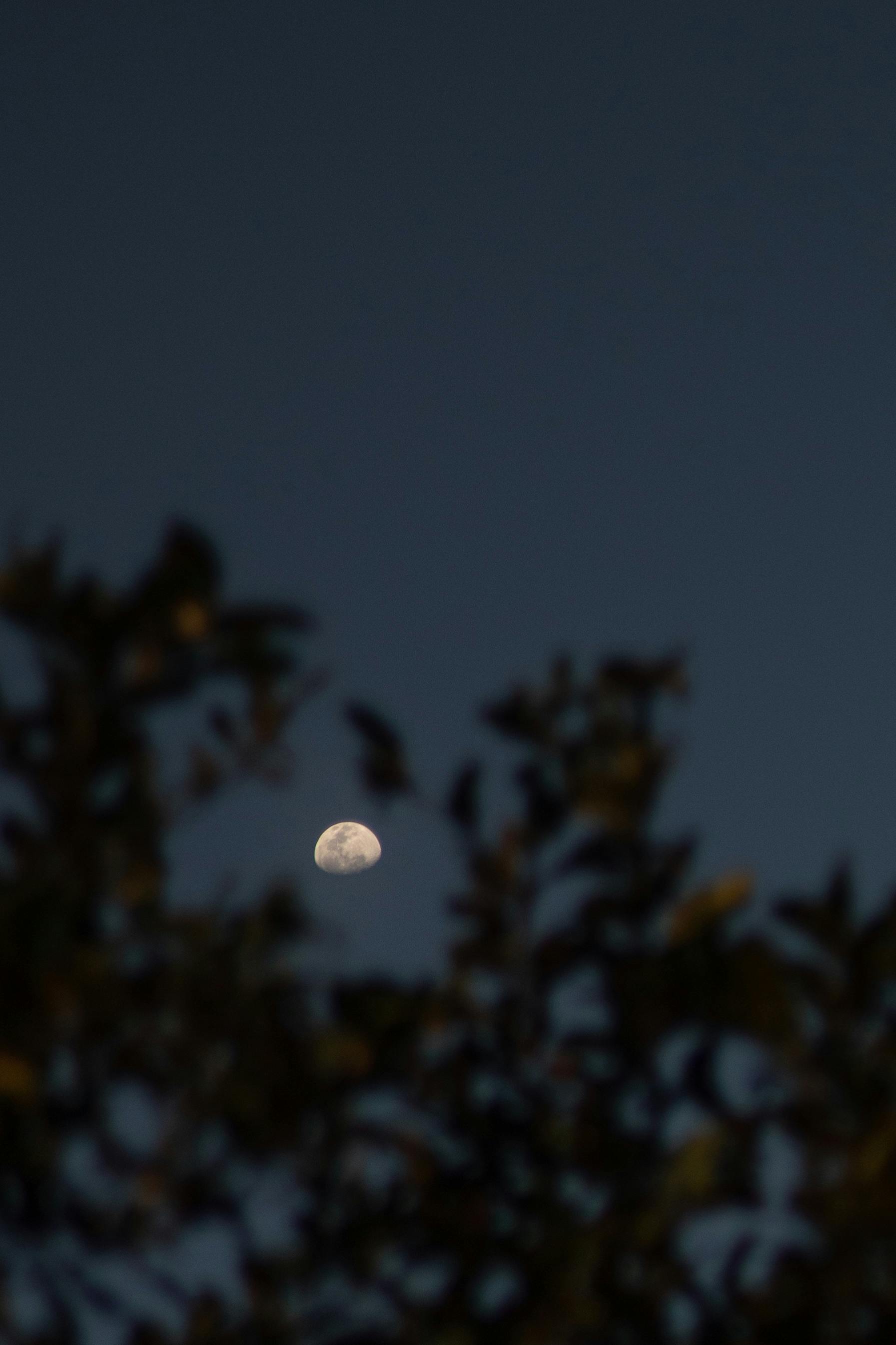 The Moon in the Dark Sky · Free Stock Photo