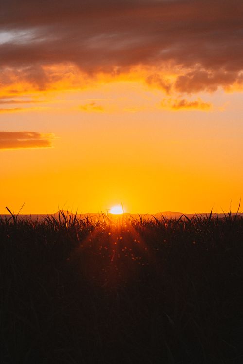 Free Vibrant sunset casting warm hues over a tranquil field with dramatic skies. Stock Photo