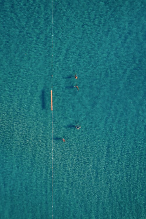 Aerial Photography of People Swimming on Sea
