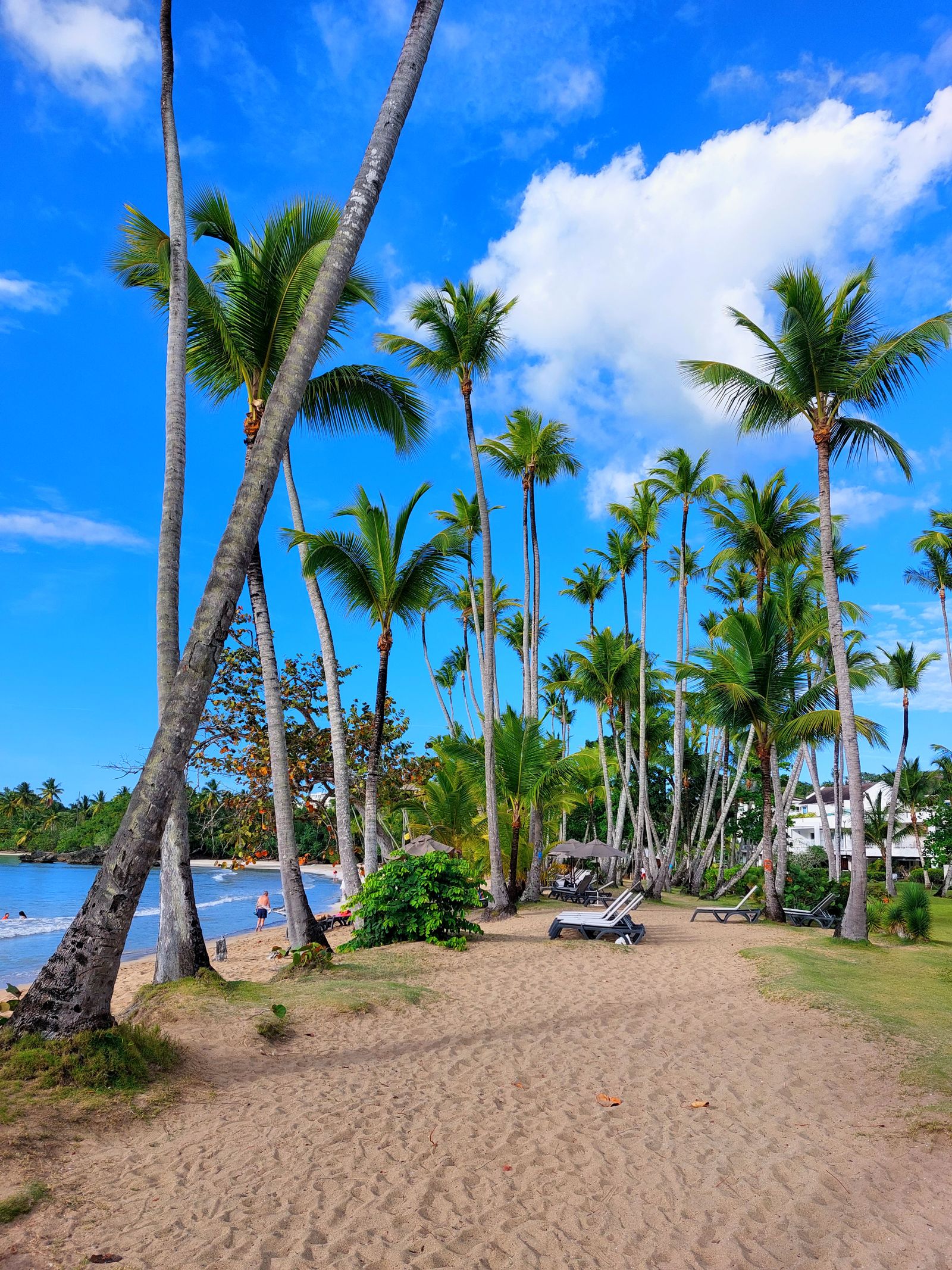 Travel scene connected with Samaná