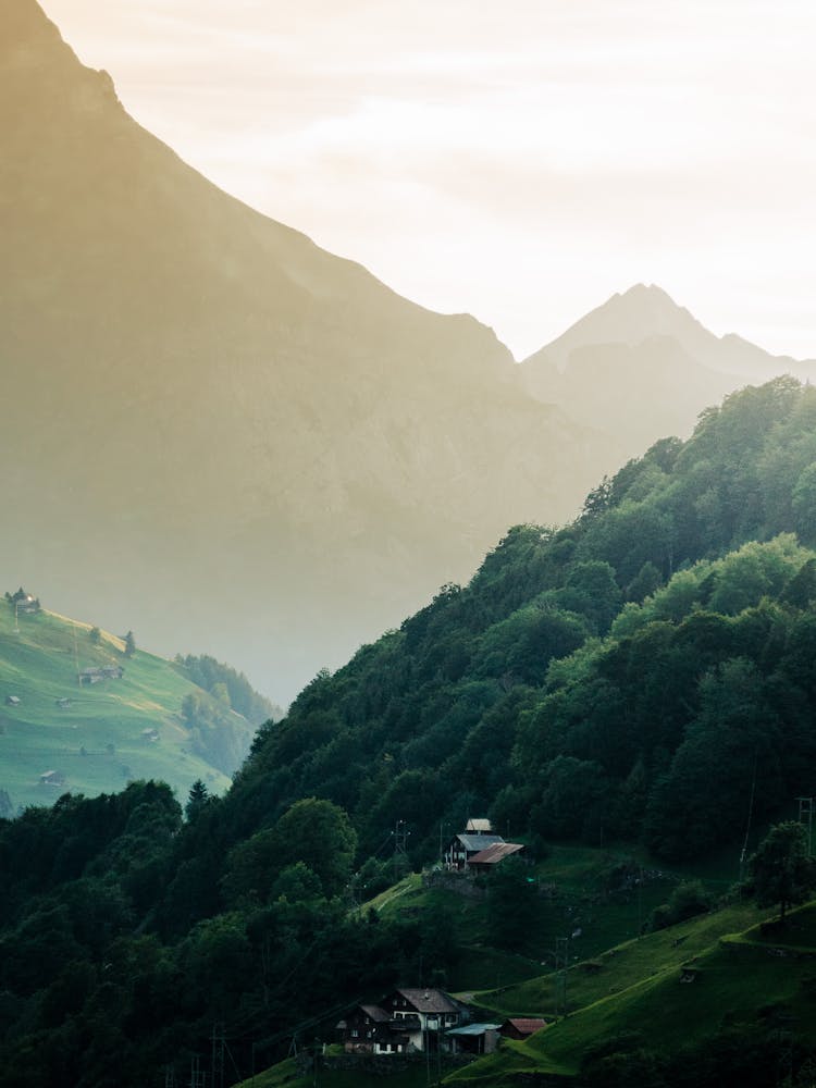 Photo Of A Hilltop Houses