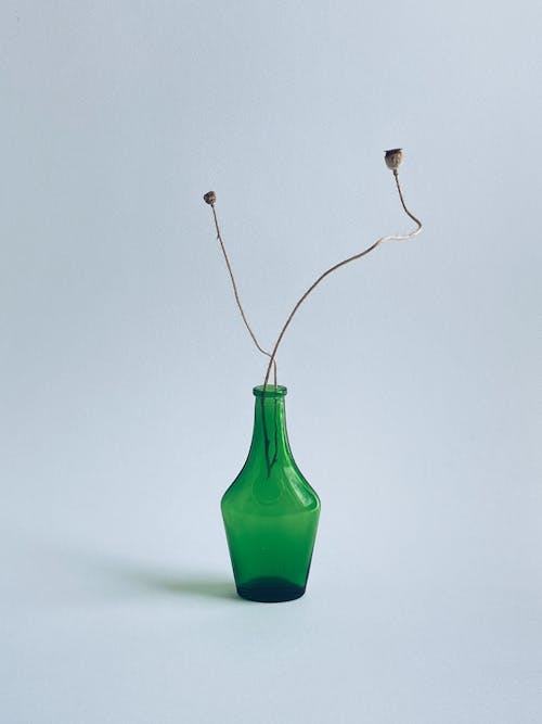 Green Vase with Dried Flowers