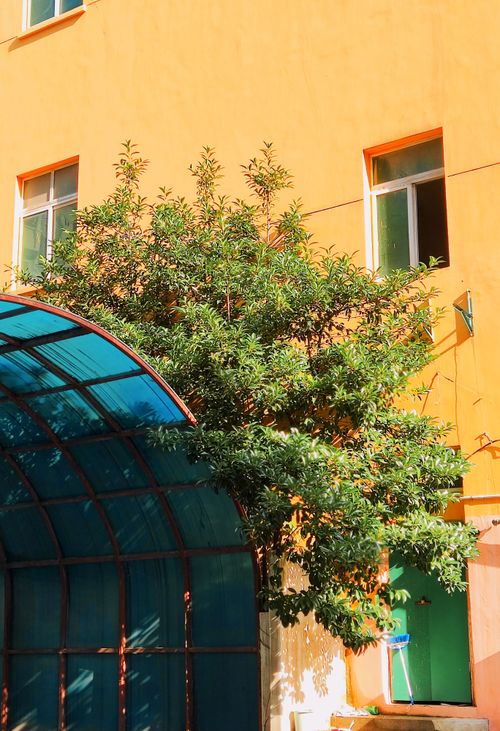 Free A brightly painted yellow building with a tree and blue tunnel, showcasing vibrant architectural design. Stock Photo