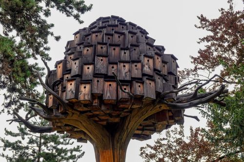 Free Explore a unique tree sculpture with numerous wooden birdhouses in an artistic outdoor setting. Stock Photo