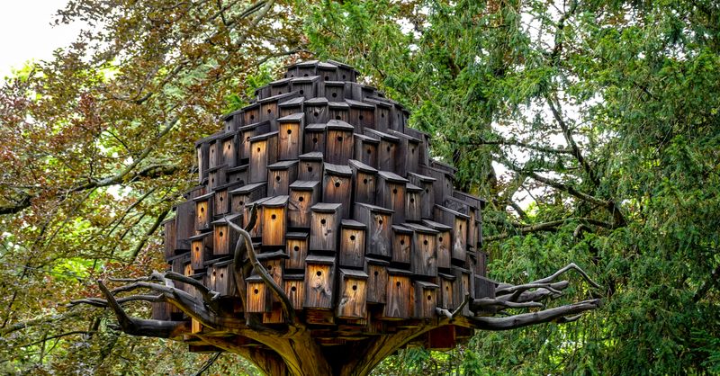 Top 10 des boutiques incontournables pour nichoirs et refuges à auxiliaires : guide d’expert