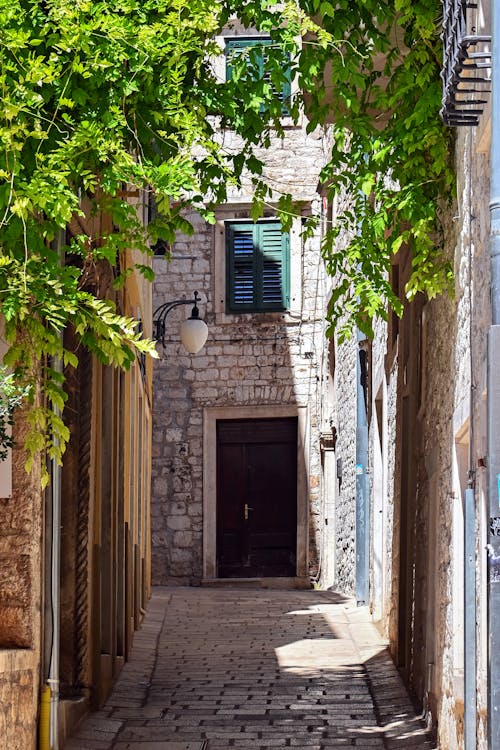 A Narrow Paved Alley Between Concrete Houses