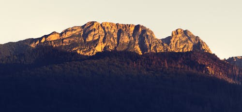 Rocky Mountain Surrounded Green Leaf Tree during Daytime