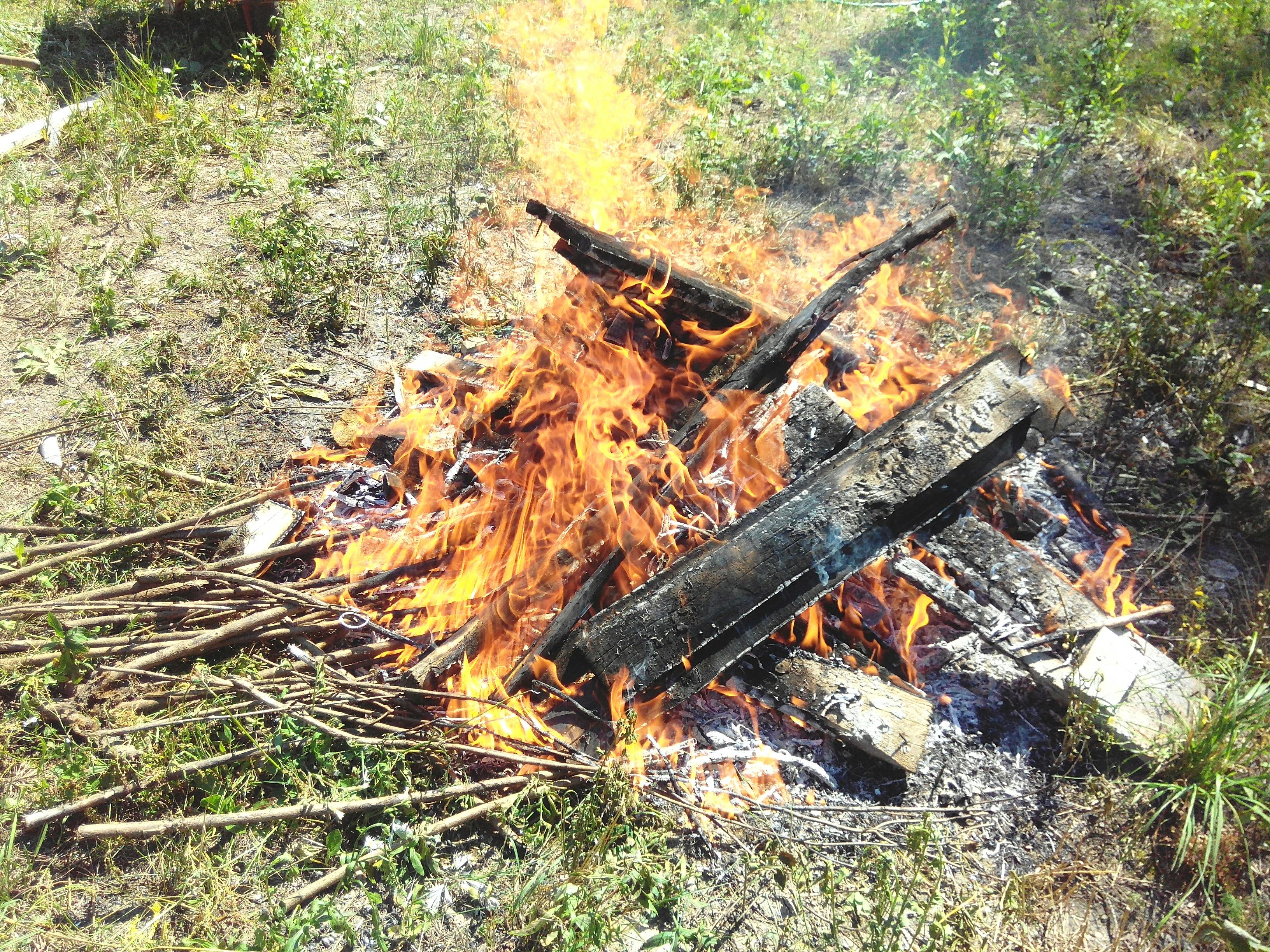Free stock photo of fire, fire wood, fireplace