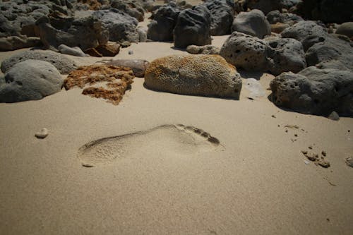 Free stock photo of barefoot, beach, sand