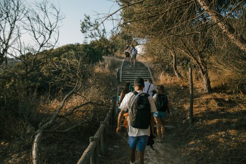 Free Backpackers hiking through a scenic forest trail during daylight, capturing the essence of adventure. Stock Photo