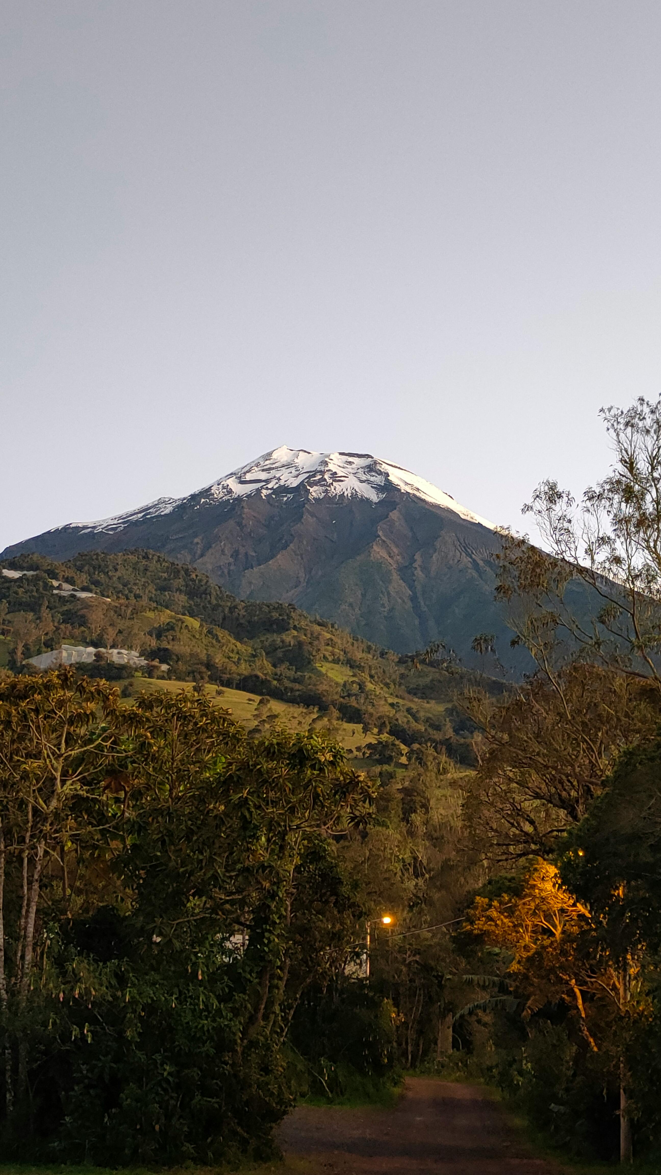 Majestic snow-covered mountain against a white sky, framed by dense trees and twilight hues.