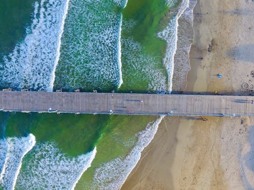 Bird's-eye View of People on Wooden Dock