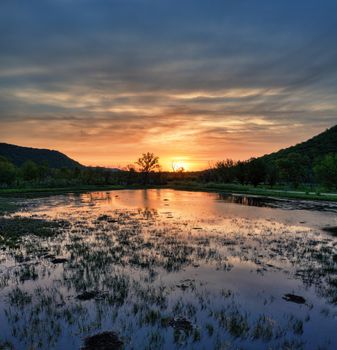 A stunning sunset over a tranquil lake in Altura, MN, capturing nature's serene beauty.