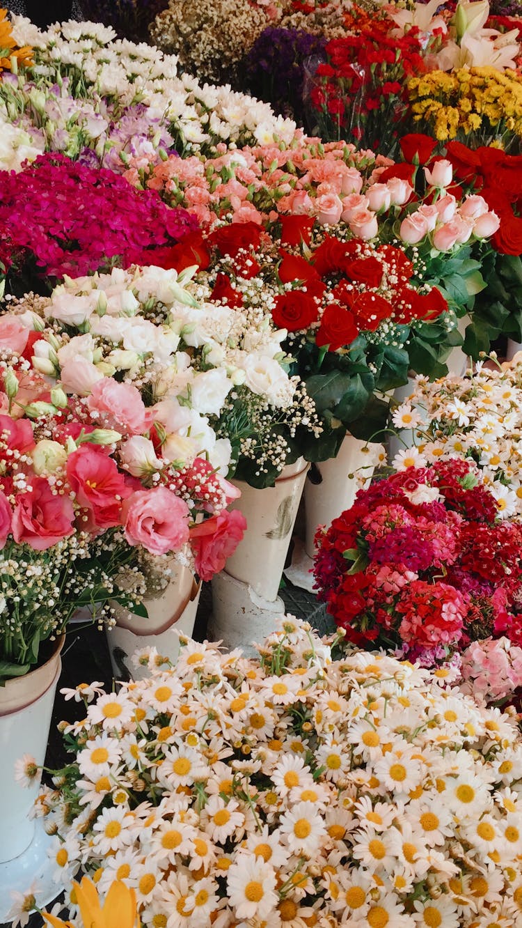 Colorful Flowers At Florist