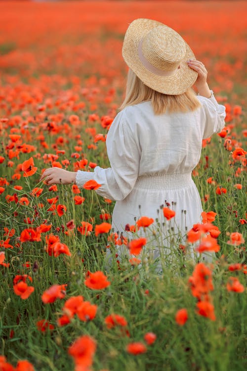 Gratis stockfoto met achteraanzicht, bloemen, hoed