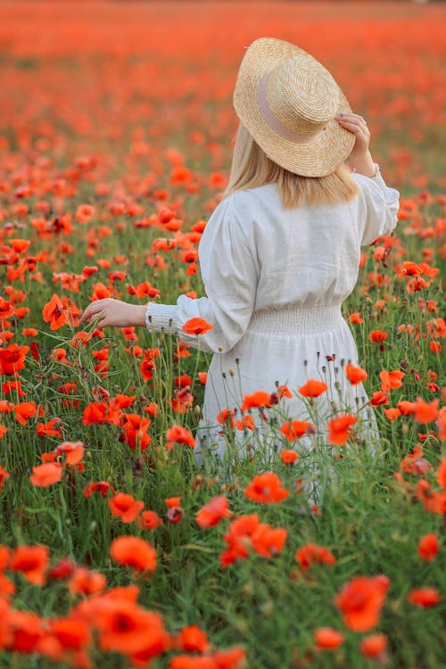 Gratis stockfoto met achteraanzicht, bloemen, hoed