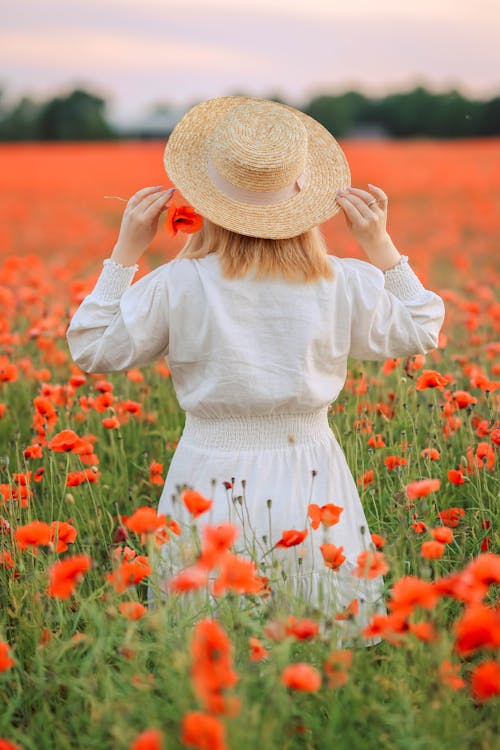 Gratis arkivbilde med åker, blomster, hatt