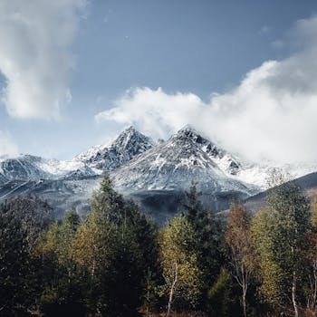 A stunning view of the snowcapped peaks of Vysoké Tatry in Slovakia, framed by a vibrant forest.