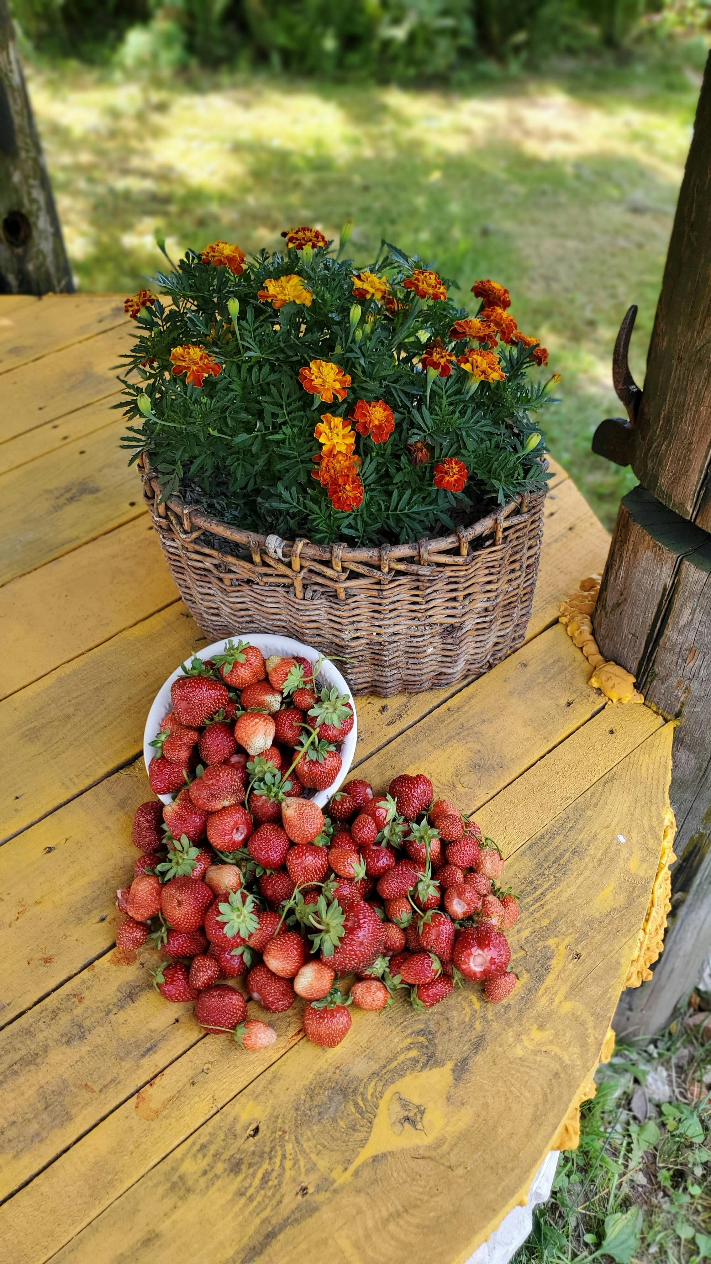 Photo by Alexey Chudin