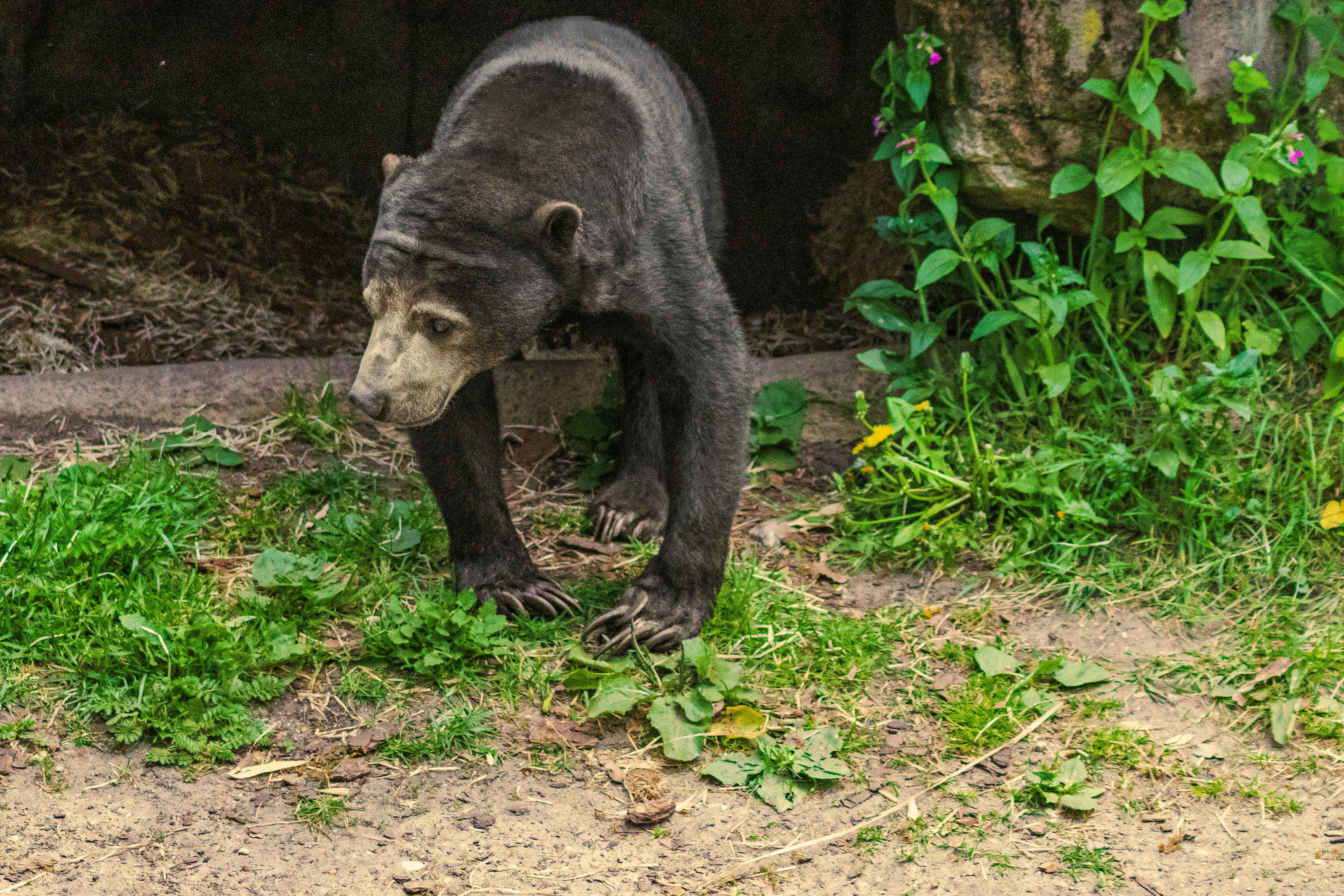 Sun Bear Realty &amp; Property Management acquires Vacation Station and Incline House Cleaning — Photo by Heino Schliep on Pe