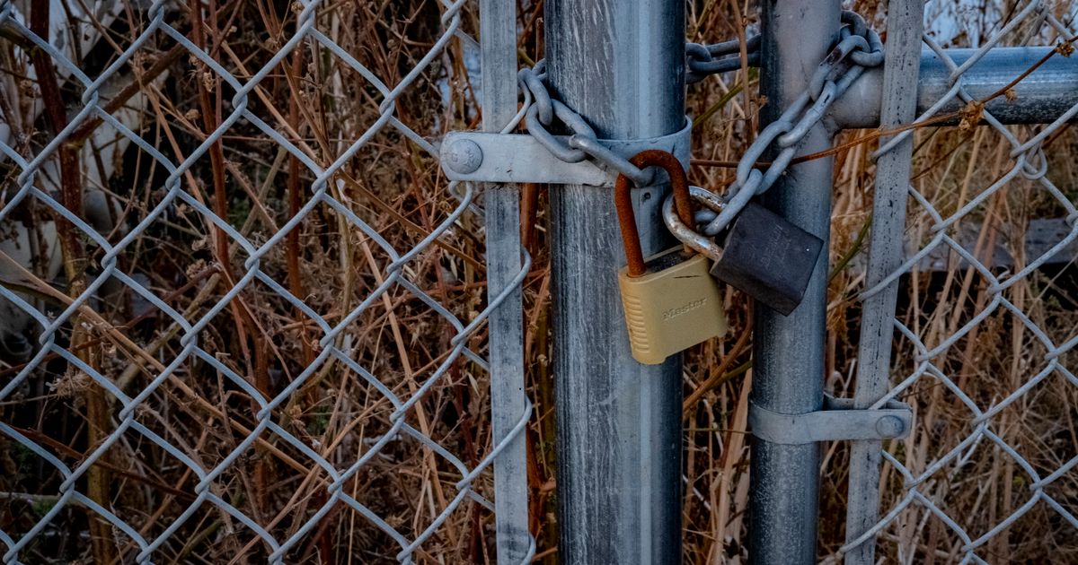 A close-up of a chain link fence with padlocks securing it, symbolizing high security outdoors.