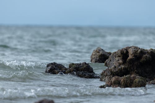 거친, 물, 바다의 무료 스톡 사진