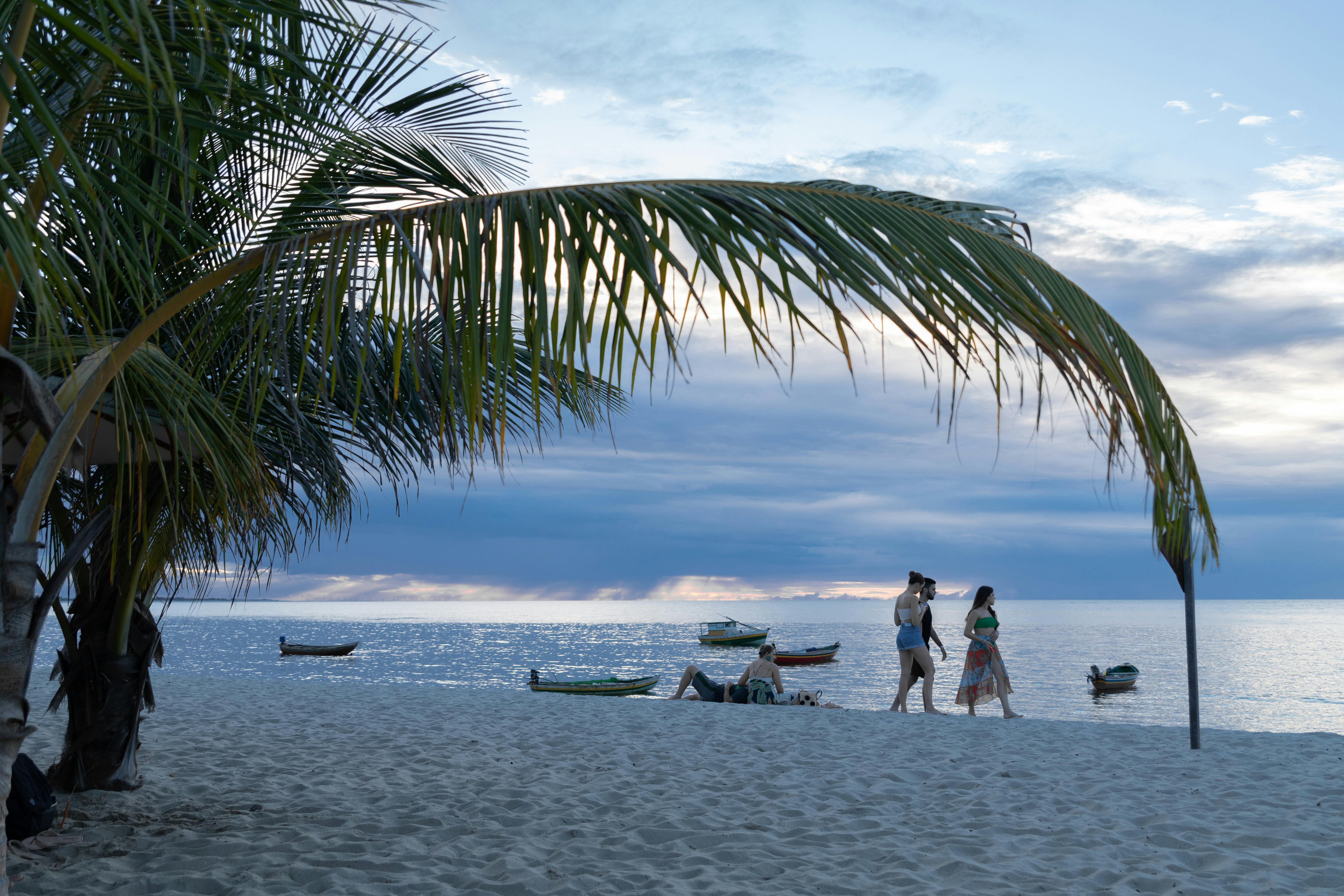 A tranquil beach setting with palm trees and people enjoying the serene sunset by the sea.