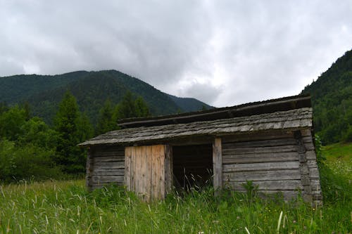 Gratis stockfoto met houten huis, keet, platteland