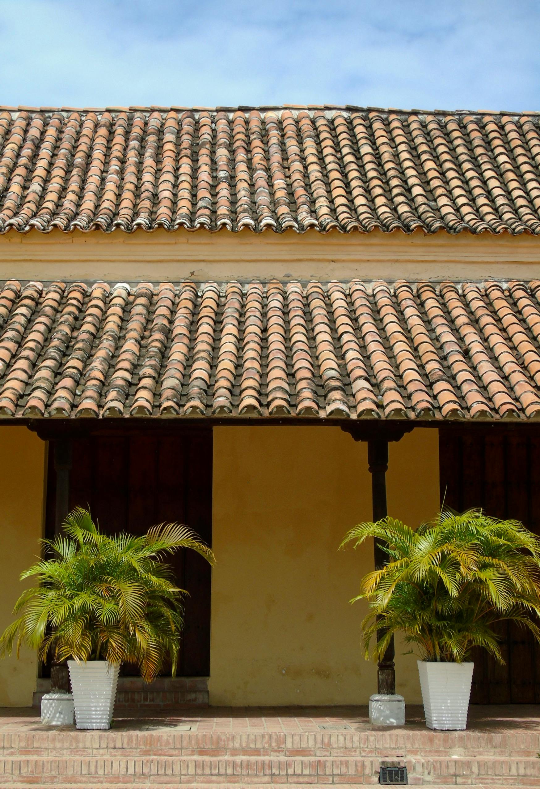 Photo by Ricardo Sánchez