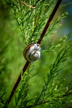 A detailed close-up of a snail perched on a lush green plant branch.