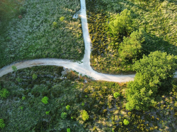 Drone Shot Of Pathways