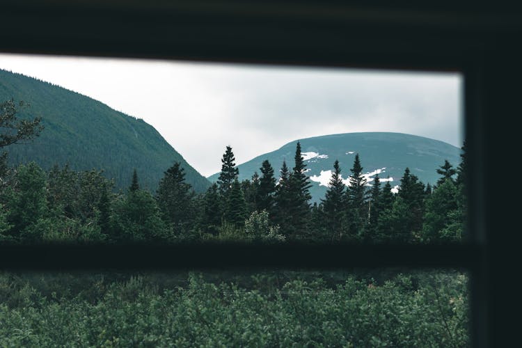 View Of Trees And Mountains