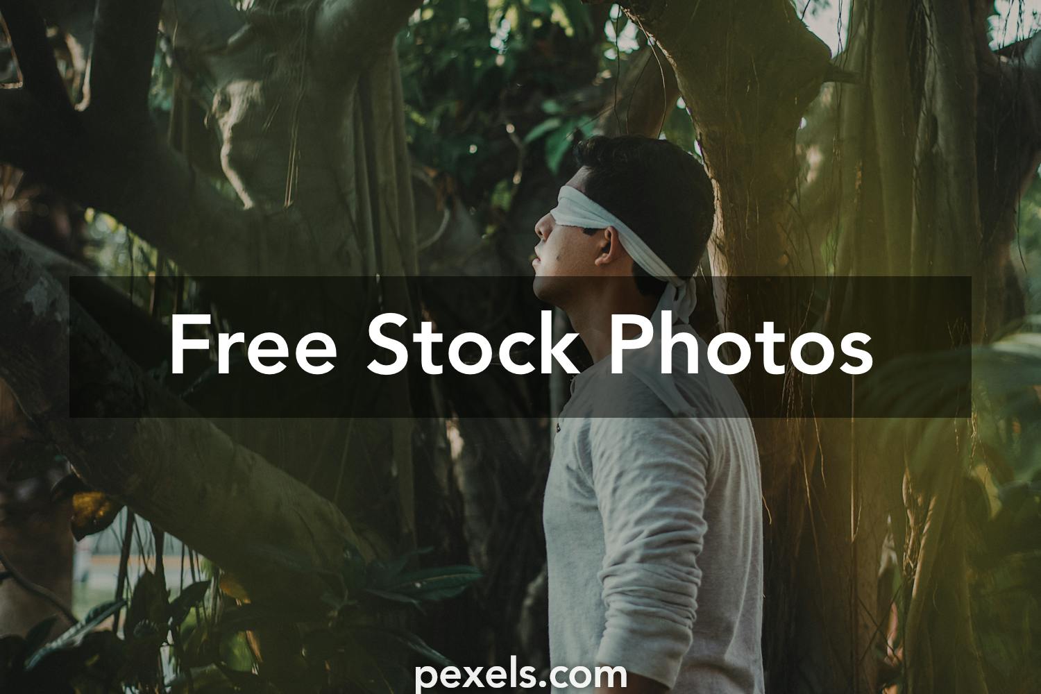 10 Beautiful Blindfold Photos Pexels Free Stock Photos Images, Photos, Reviews