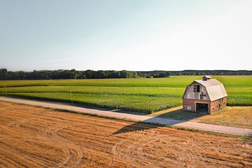 A Barn Near Cropland