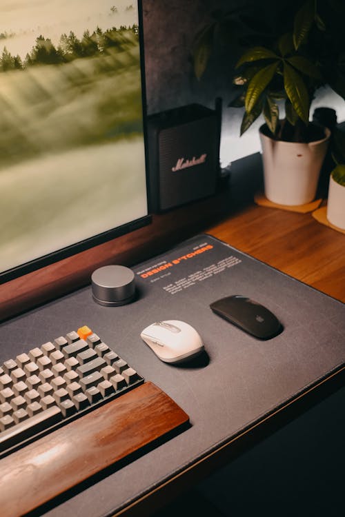 Computer Monitor and Keyboard on the Desk 