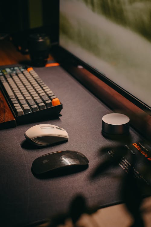 Computer Keyboard and Mouse 