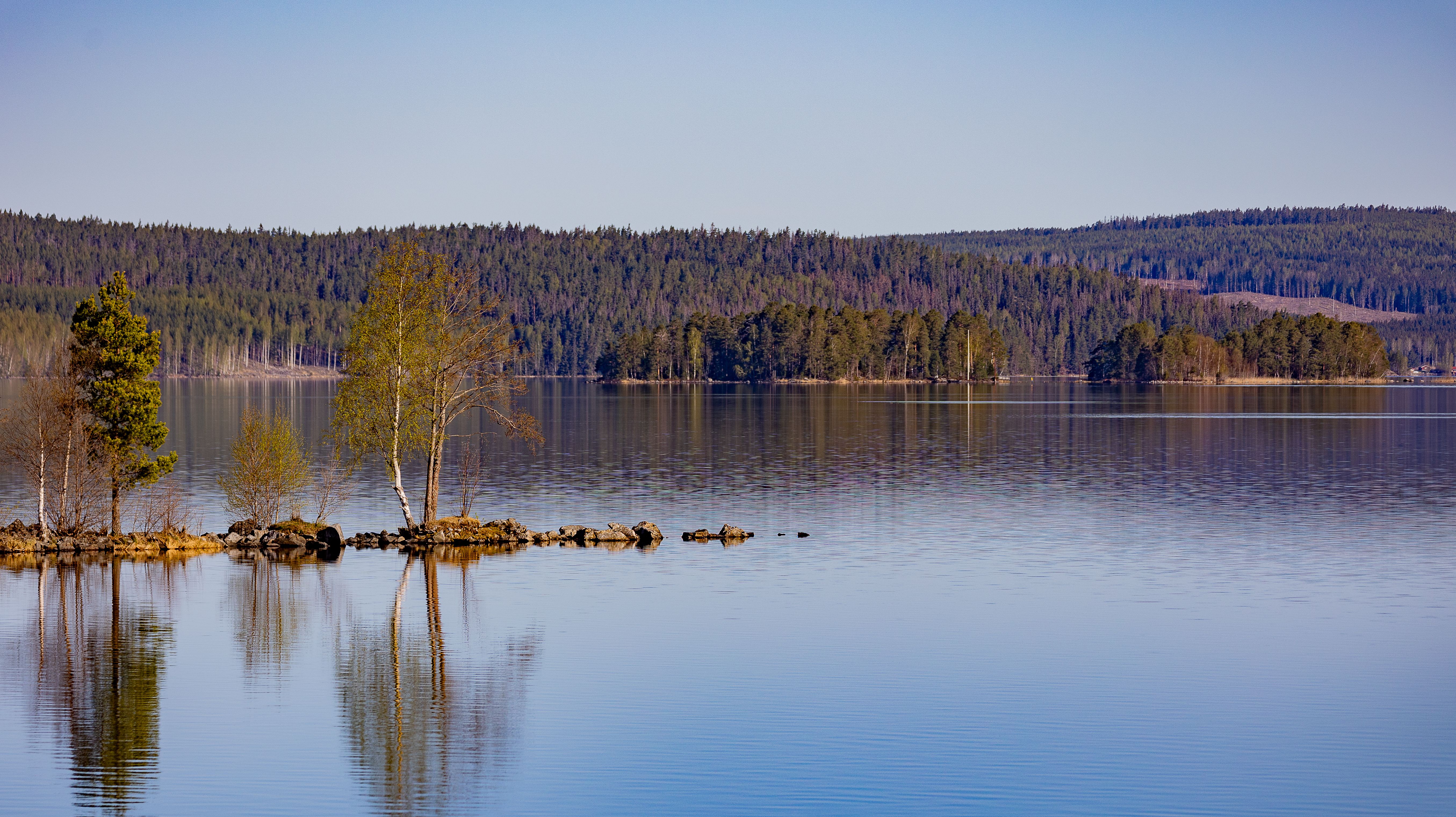Fotomural Paisaje de lago pacífico con árboles de otoño reflejándose en aguas tranquilas, rodeado de un denso bosque.