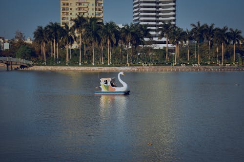 Foto profissional grátis de água, barco, lago