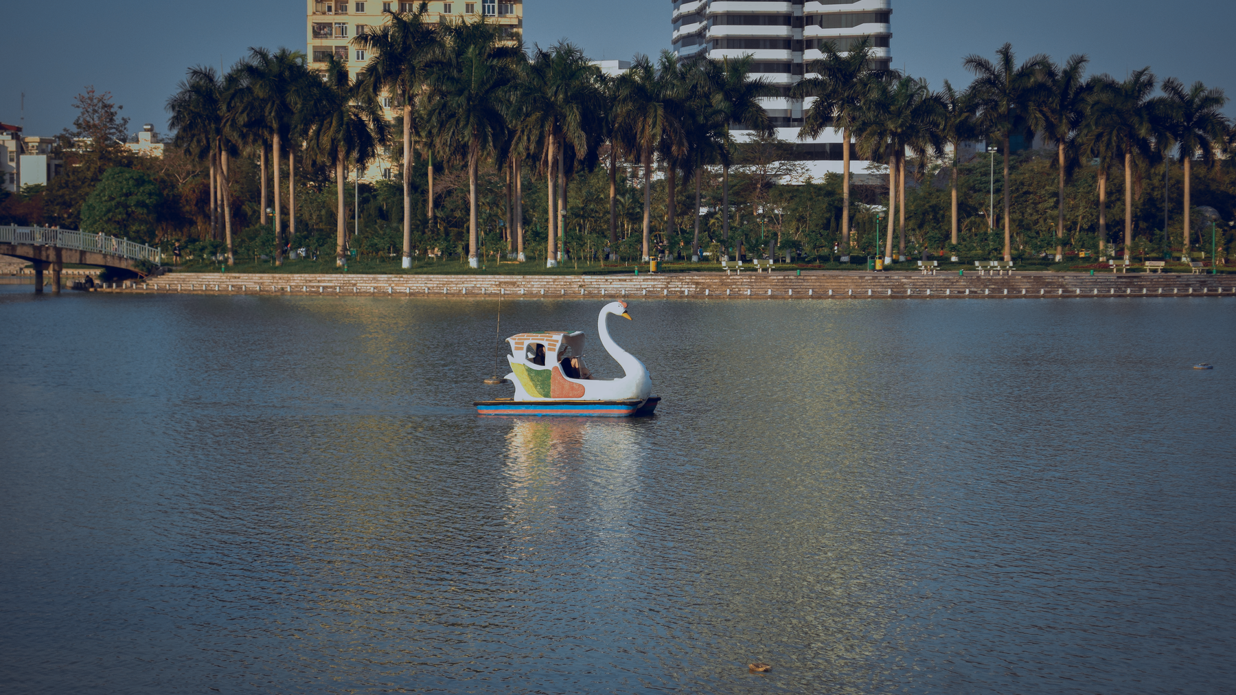 A serene scene of a swan-shaped pedal boat gliding on a lake flanked by palm trees.