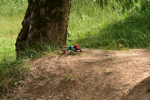 Immagine gratuita di quadricottero accanto a un albero