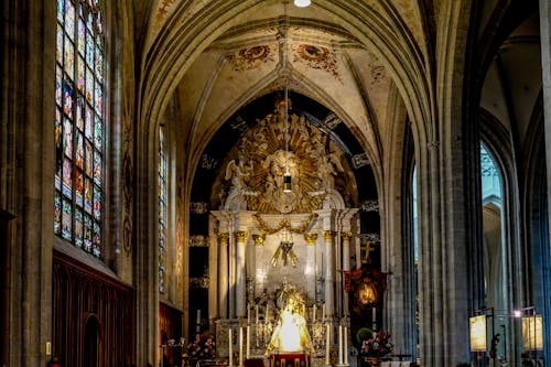 antwerp, Belçika, bizim hanımın katedrali içeren Ücretsiz stok fotoğraf