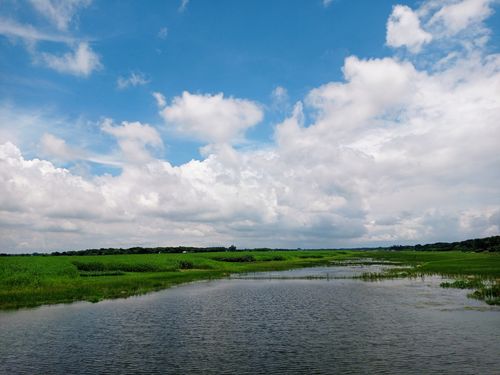 Free Tranquil landscape featuring a river, lush greenery, and a vibrant blue sky in Rajbari, Bangladesh. Stock Photo