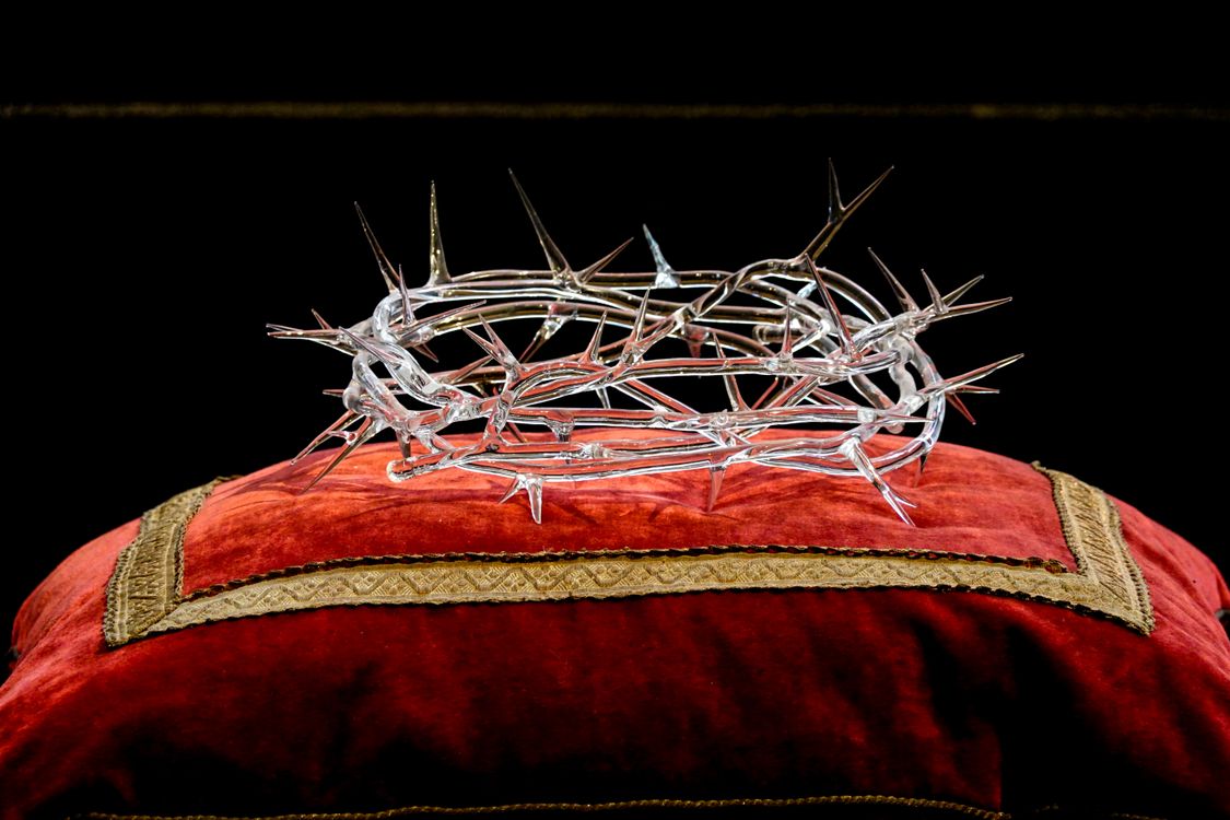 crown of thorms