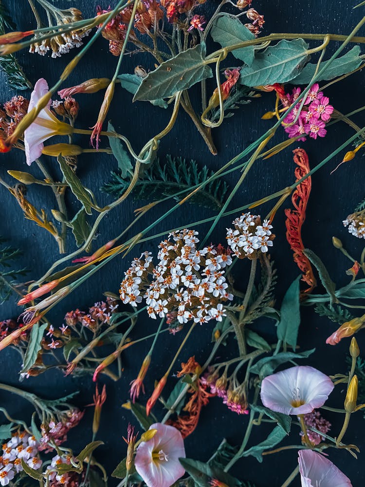 Flowers Strewn On Green Background 